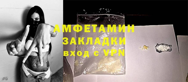 гидра Алексеевка