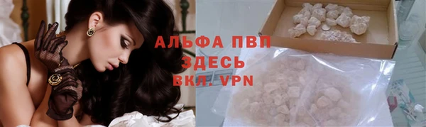 шишки Алексин