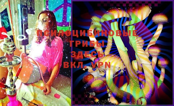 шишки Алексин