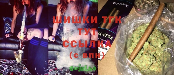 гидра Алексеевка