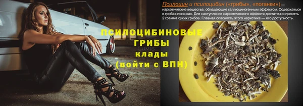 гидра Алексеевка